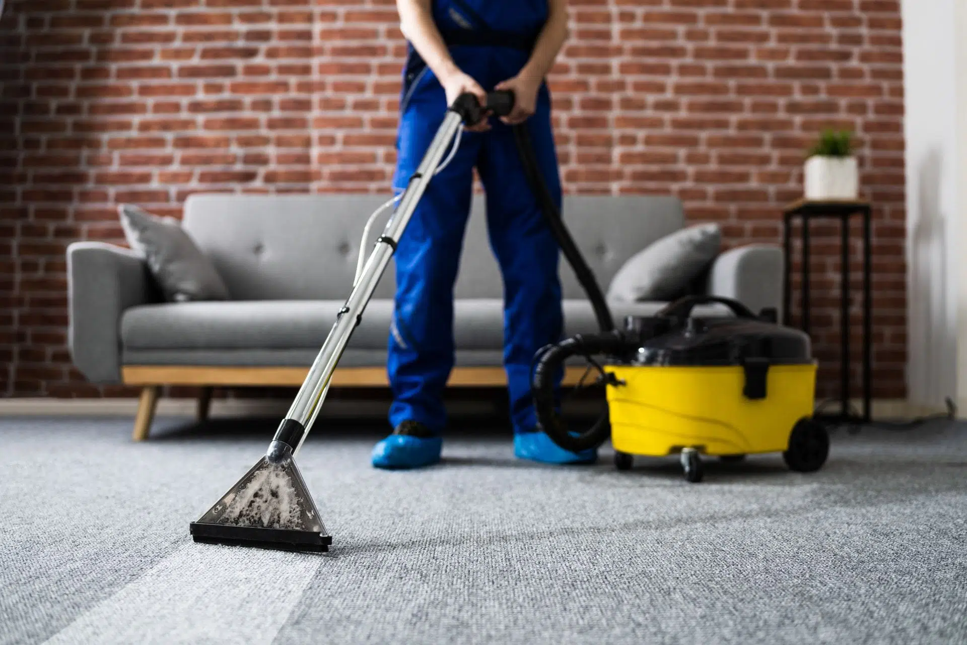 carpet cleaning Watford