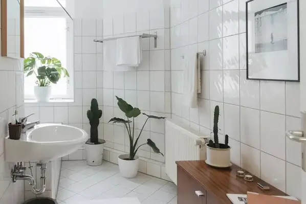 Washroom cleaning Watford